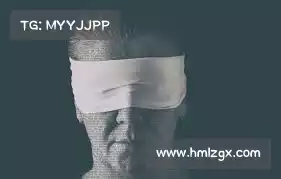 白鲸加速器苹果能用吗——智能防护,实时响应,确保您的生活安全无忧!